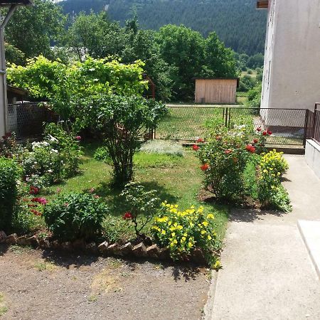 Apartment Hinic Vrhovine Εξωτερικό φωτογραφία