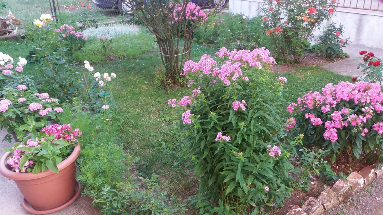 Apartment Hinic Vrhovine Εξωτερικό φωτογραφία